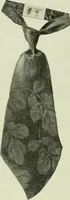 Picture 567 of 928 from Men's wear of Canada (January-December 1918) (1918), leaf 603
