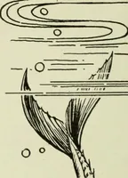 An illustration from Men's wear of Canada (January-December 1918) (1918)