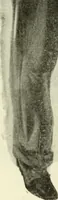 An illustration from Men's wear of Canada (January-December 1918) (1918)