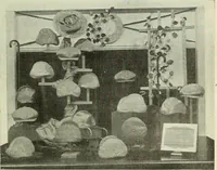 An illustration from Men's wear of Canada (January-December 1918) (1918)
