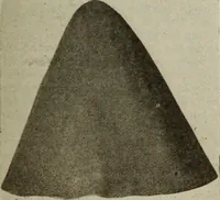 Picture 451 of 1057 from Men's wear of Canada (January-December 1919) (1919), leaf 430