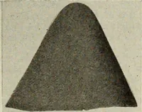 Picture 452 of 1057 from Men's wear of Canada (January-December 1919) (1919), leaf 430