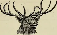An illustration from Men's wear of Canada (January-December 1919) (1919)