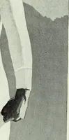 An illustration from Men's wear of Canada (January-December 1920) (1920)