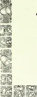 An illustration from Men's wear of Canada (January-December 1920) (1920)