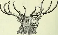 An illustration from Men's wear of Canada (January-December 1920) (1920)