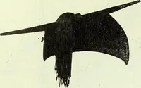 Picture 229 of 976 from Men's wear of Canada (January-December 1920) (1920), leaf 225