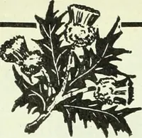 An illustration from Men's wear of Canada (January-December 1920) (1920)