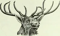An illustration from Men's wear of Canada (January-December 1920) (1920)