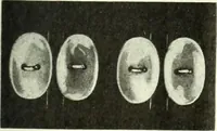 An illustration from Men's wear of Canada (January-December 1920) (1920)