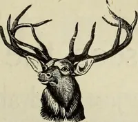 An illustration from Men's wear of Canada (January-December 1921) (1921)