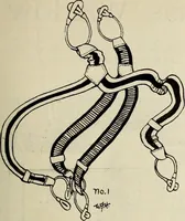 An illustration from Men's wear of Canada (January-December 1921) (1921)