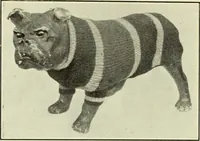An illustration from Men's wear of Canada (January-December 1922) (1922)
