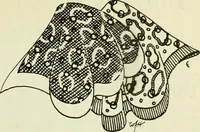 An illustration from Men's wear of Canada (January-December 1922) (1922)