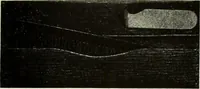 An illustration from Men's wear of Canada (January-December 1922) (1922)