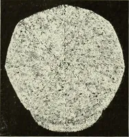 An illustration from Men's wear of Canada (January-December 1922) (1922)