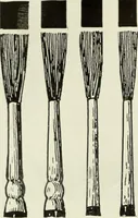 An illustration from Men's wear of Canada (January-December 1922) (1922)