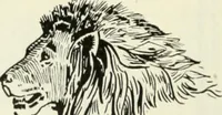 An illustration from Men's wear of Canada (January-December 1922) (1922)