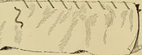 An illustration from Mental development and manual training combined, taking up the one stitch dropped in sewing by drills to sound-singing (1899)