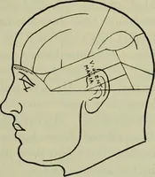 An illustration from The mental functions of the brain : an investigation into their localisation and their manifestation in health and disease (1901)
