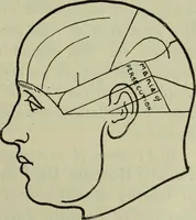 An illustration from The mental functions of the brain : an investigation into their localisation and their manifestation in health and disease (1901)