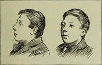 An illustration from The mental functions of the brain : an investigation into their localisation and their manifestation in health and disease (1901)