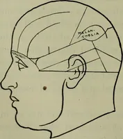 Picture 8 of 36 from The mental functions of the brain : an investigation into their localisation and their manifestation in health and disease (1901), leaf 93