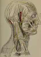 Picture 30 of 33 from Mental and physical ease and supremacy; (1914), leaf 260