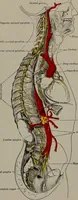 An illustration from Mental and physical ease and supremacy; (1914)