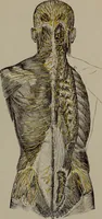 Picture 31 of 33 from Mental and physical ease and supremacy; (1914), leaf 264