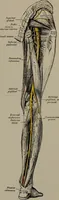 Picture 33 of 33 from Mental and physical ease and supremacy; (1914), leaf 268