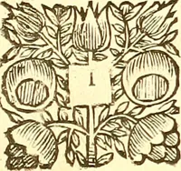 An illustration from The merchants map of commerce : wherein the universal manner and matter of trade is compendiously handled. The standard and current coins of sundry princes observed. The real and imaginary coins of accounts and exchanges expressed. The natural and artificial commodities of all countreys for transportation declared. The weights and measures of all eminent cities and towns of traffick, collected and reduced one into another, and all to the meridian of commerce practised in the famous city of London (1677)