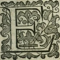 Picture 27 of 115 from The merchants mappe of commerce : wherein, the universall manner and matter of trade, is compendiously handled ... (1638), leaf 266