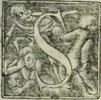 Picture 28 of 115 from The merchants mappe of commerce : wherein, the universall manner and matter of trade, is compendiously handled ... (1638), leaf 268