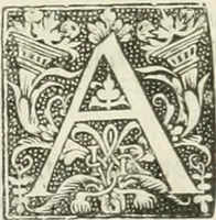 An illustration from The merchants mappe of commerce : wherein, the universall manner and matter of trade, is compendiously handled ... (1638)