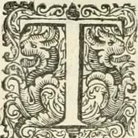 Picture 31 of 115 from The merchants mappe of commerce : wherein, the universall manner and matter of trade, is compendiously handled ... (1638), leaf 285