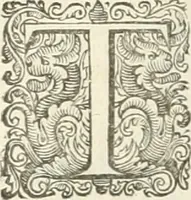Picture 37 of 115 from The merchants mappe of commerce : wherein, the universall manner and matter of trade, is compendiously handled ... (1638), leaf 305