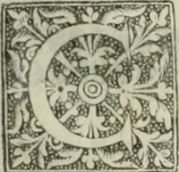 Picture 39 of 115 from The merchants mappe of commerce : wherein, the universall manner and matter of trade, is compendiously handled ... (1638), leaf 310