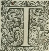 Picture 41 of 115 from The merchants mappe of commerce : wherein, the universall manner and matter of trade, is compendiously handled ... (1638), leaf 312