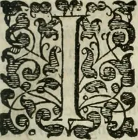 Picture 42 of 115 from The merchants mappe of commerce : wherein, the universall manner and matter of trade, is compendiously handled ... (1638), leaf 316