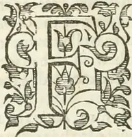 Picture 46 of 115 from The merchants mappe of commerce : wherein, the universall manner and matter of trade, is compendiously handled ... (1638), leaf 323