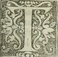 An illustration from The merchants mappe of commerce : wherein, the universall manner and matter of trade, is compendiously handled ... (1638)