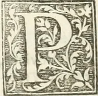 Picture 50 of 115 from The merchants mappe of commerce : wherein, the universall manner and matter of trade, is compendiously handled ... (1638), leaf 329