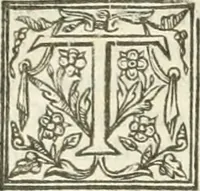 Picture 52 of 115 from The merchants mappe of commerce : wherein, the universall manner and matter of trade, is compendiously handled ... (1638), leaf 341