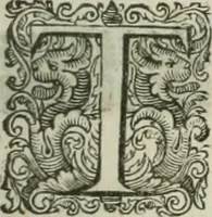 Picture 53 of 115 from The merchants mappe of commerce : wherein, the universall manner and matter of trade, is compendiously handled ... (1638), leaf 348