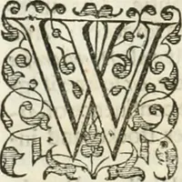 Picture 65 of 115 from The merchants mappe of commerce : wherein, the universall manner and matter of trade, is compendiously handled ... (1638), leaf 391