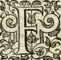 Picture 68 of 115 from The merchants mappe of commerce : wherein, the universall manner and matter of trade, is compendiously handled ... (1638), leaf 393