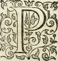 Picture 82 of 115 from The merchants mappe of commerce : wherein, the universall manner and matter of trade, is compendiously handled ... (1638), leaf 427