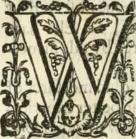 An illustration from The merchants mappe of commerce : wherein, the universall manner and matter of trade, is compendiously handled ... (1638)