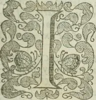 Picture 105 of 115 from The merchants mappe of commerce : wherein, the universall manner and matter of trade, is compendiously handled ... (1638), leaf 528